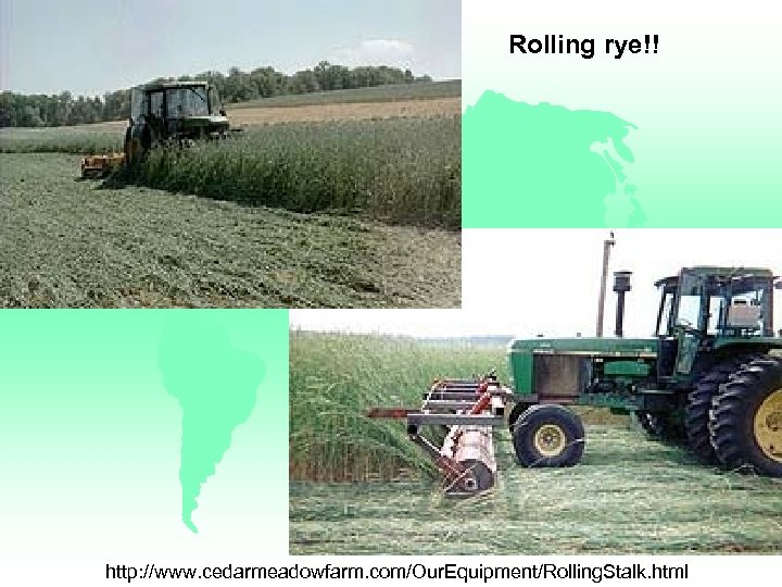 Rolling rye!! http: //www. cedarmeadowfarm. com/Our. Equipment/Rolling. Stalk. html 