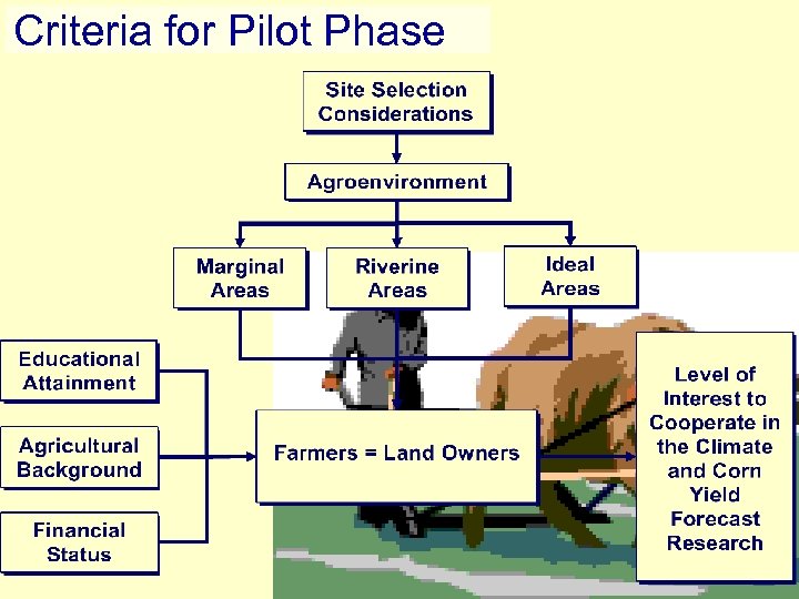 Criteria for Pilot Phase 