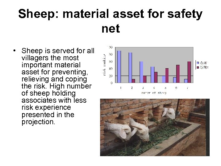 Sheep: material asset for safety net • Sheep is served for all villagers the