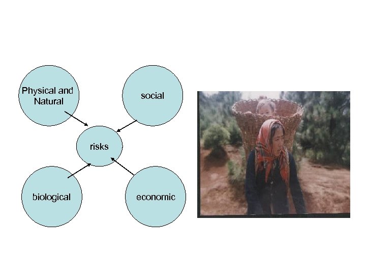 Physical and Natural social risks biological economic 