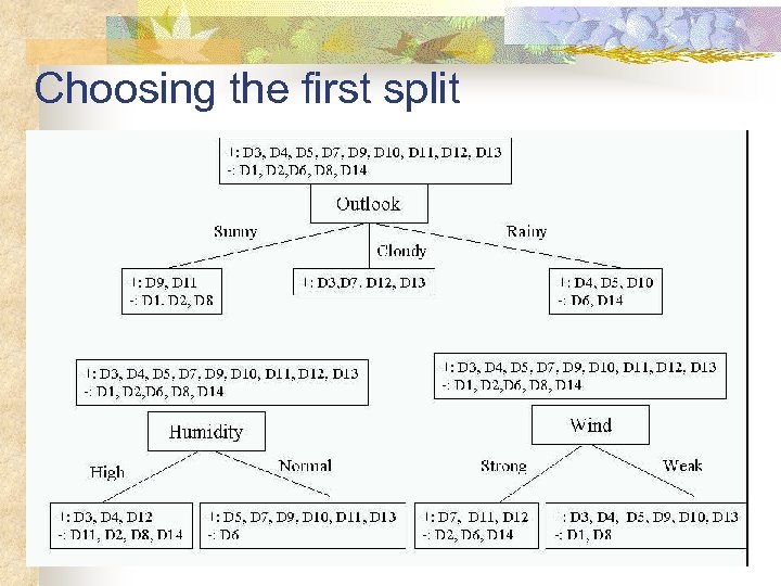 Choosing the first split 