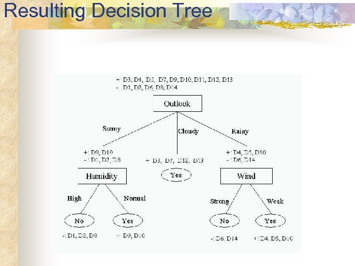 Resulting Decision Tree 