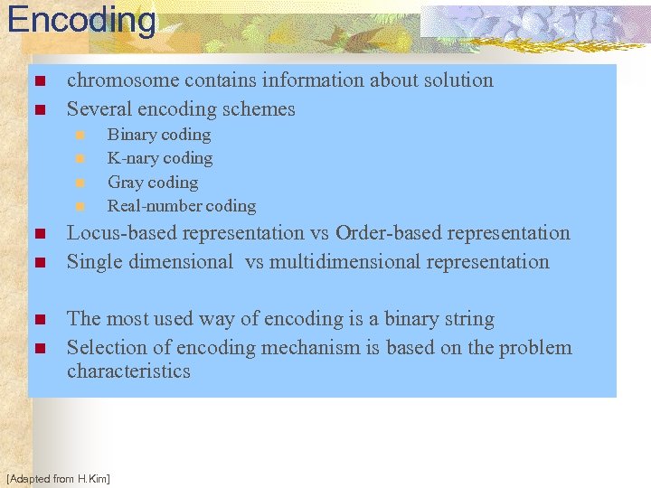 Encoding n n chromosome contains information about solution Several encoding schemes n n n