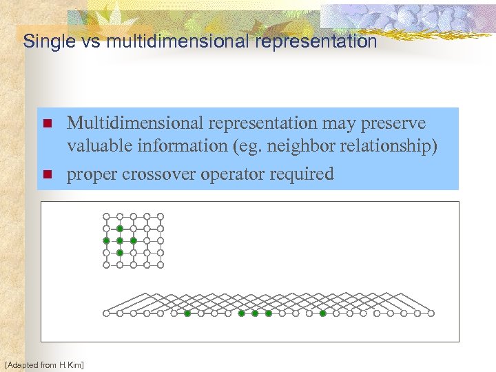 Single vs multidimensional representation n n Multidimensional representation may preserve valuable information (eg. neighbor