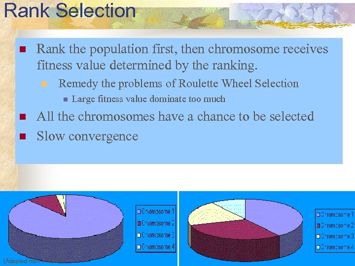 Rank Selection n Rank the population first, then chromosome receives fitness value determined by