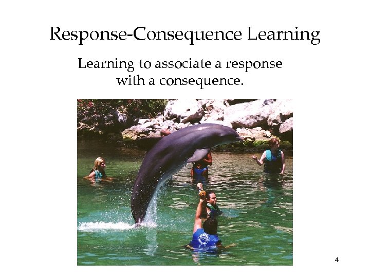 Response-Consequence Learning to associate a response with a consequence. 4 