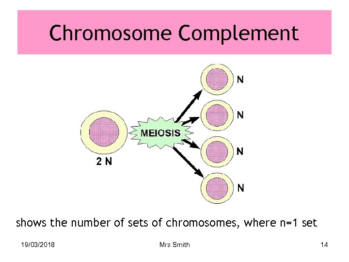 Chromosome Complement shows the number of sets of chromosomes, where n=1 set 19/03/2018 Mrs