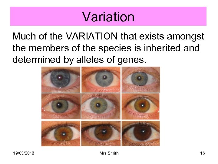 Variation Much of the VARIATION that exists amongst the members of the species is