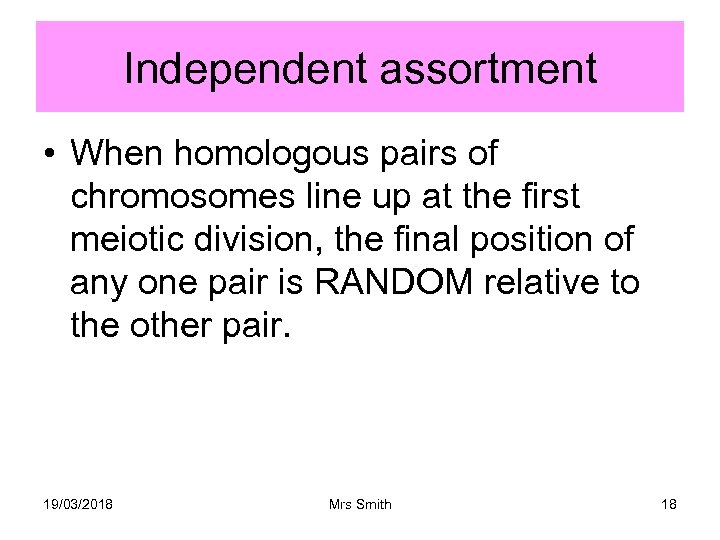 Independent assortment • When homologous pairs of chromosomes line up at the first meiotic