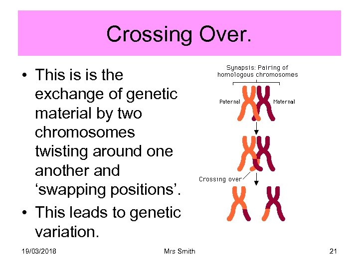 Crossing Over. • This is is the exchange of genetic material by two chromosomes