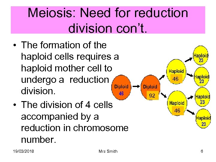 Meiosis: Need for reduction division con’t. • The formation of the haploid cells requires