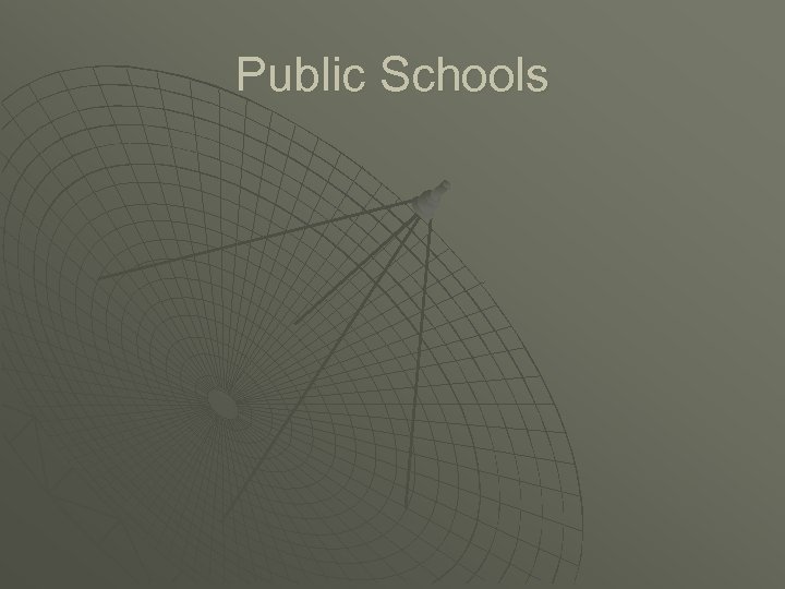 Public Schools 