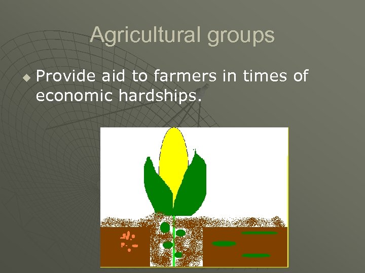 Agricultural groups u Provide aid to farmers in times of economic hardships. 