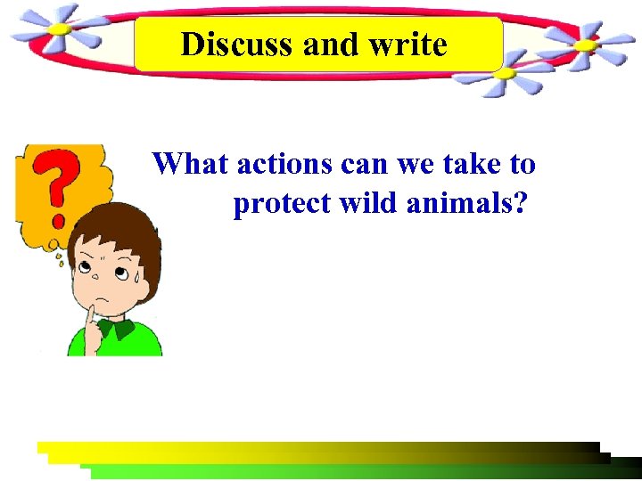 Discuss and write What actions can we take to protect wild animals? 
