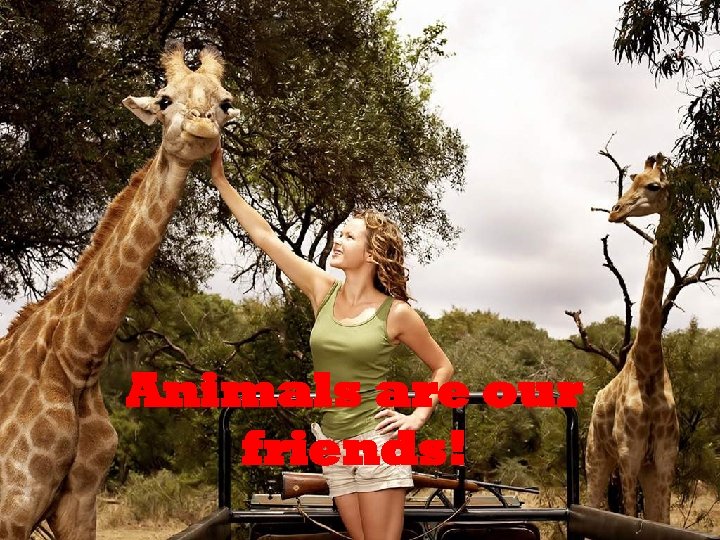 Animals are our friends! 