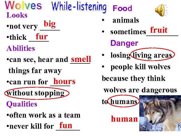 Looks big • not very _____ fur • thick _____ Abilities • can see,