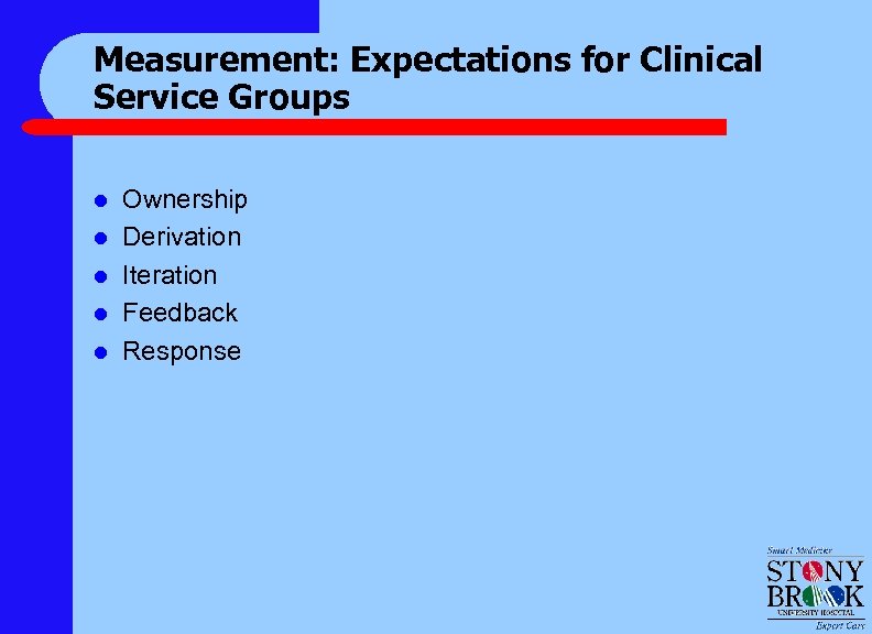 Measurement: Expectations for Clinical Service Groups l l l Ownership Derivation Iteration Feedback Response