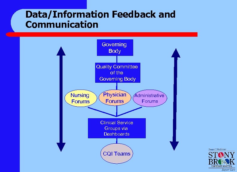 Data/Information Feedback and Communication Governing Body Quality Committee of the Governing Body Nursing Forums