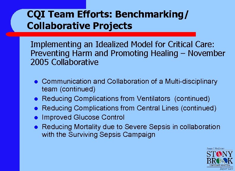 CQI Team Efforts: Benchmarking/ Collaborative Projects Implementing an Idealized Model for Critical Care: Preventing