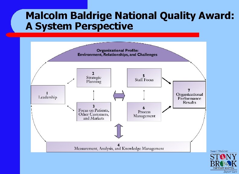 Malcolm Baldrige National Quality Award: A System Perspective 