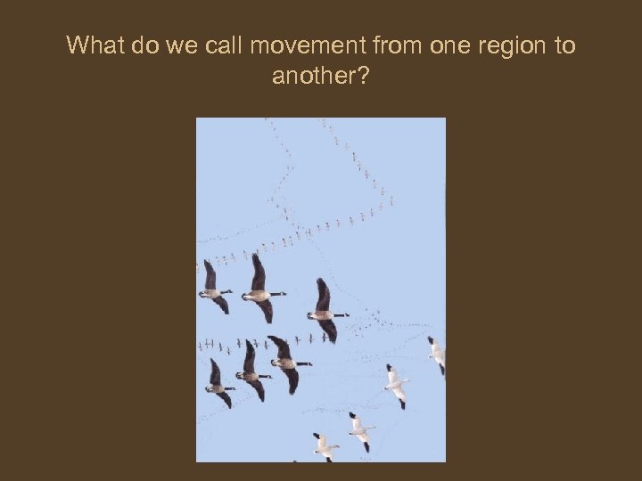 What do we call movement from one region to another? 