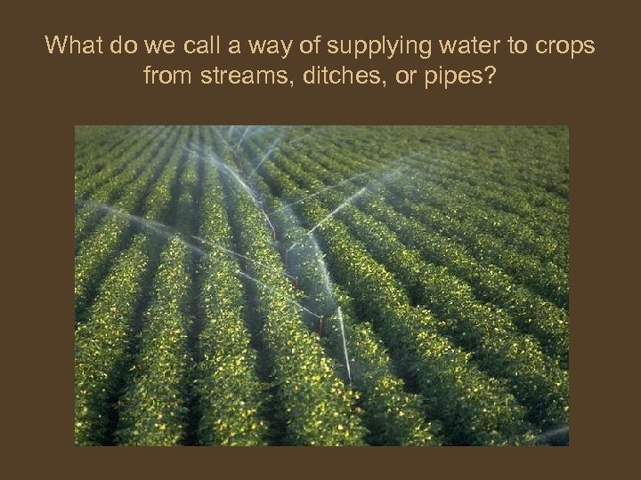 What do we call a way of supplying water to crops from streams, ditches,