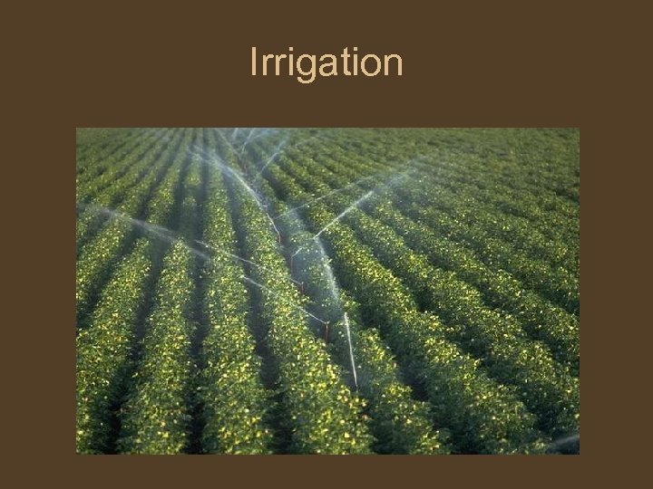 Irrigation 