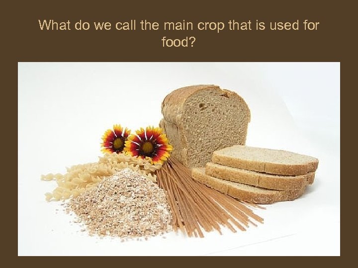 What do we call the main crop that is used for food? 