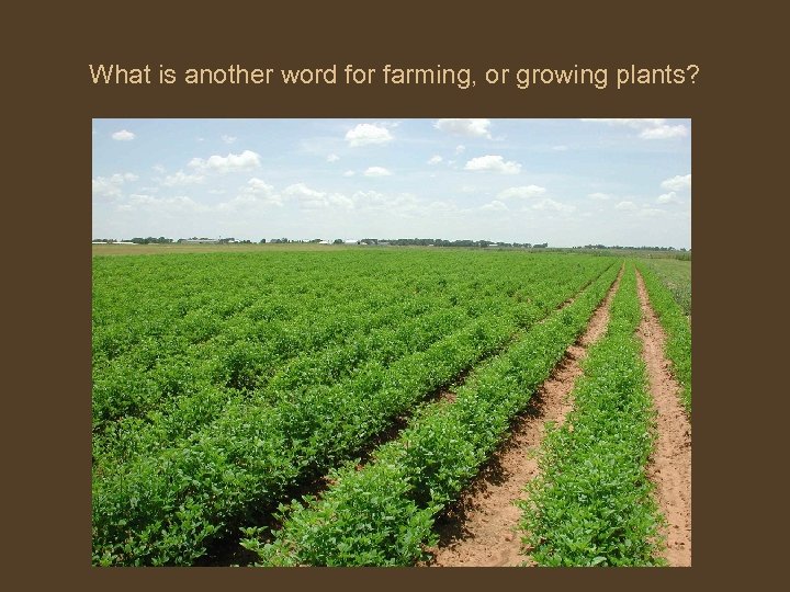 What is another word for farming, or growing plants? 