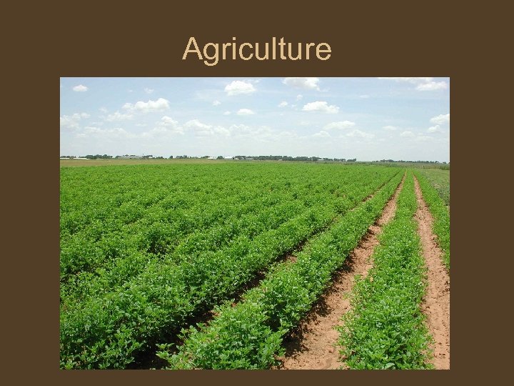 Agriculture 