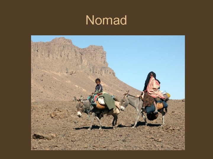 Nomad 