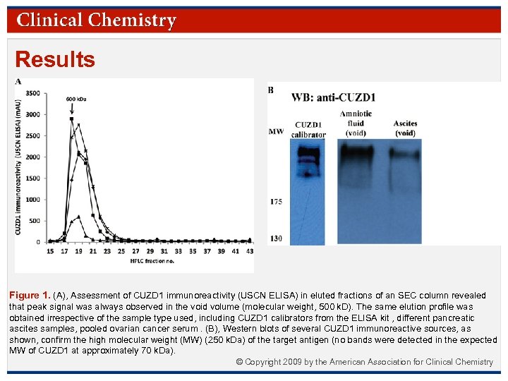 Results Figure 1. (A), Assessment of CUZD 1 immunoreactivity (USCN ELISA) in eluted fractions