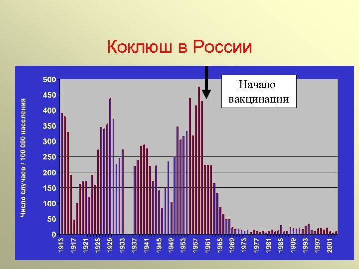 Коклюш в России Начало вакцинации 