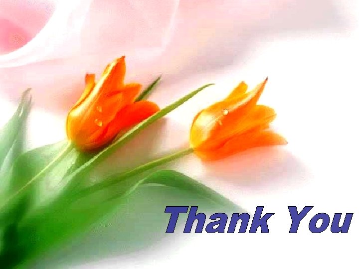  • Besides these academic activities involving exchange of students and faculty from various