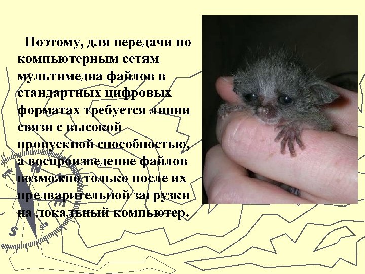 Поэтому, для передачи по компьютерным сетям мультимедиа файлов в стандартных цифровых форматах требуется линии