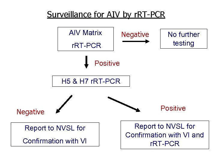 Surveillance for AIV by r. RT-PCR AIV Matrix r. RT-PCR Negative No further testing