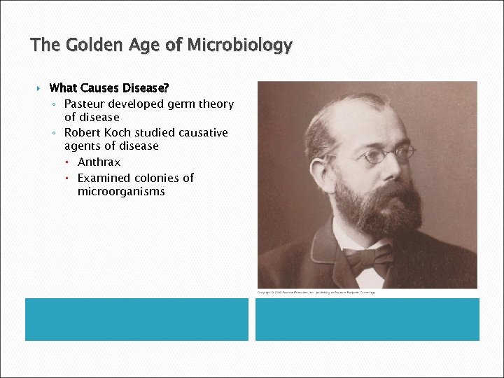 The Golden Age of Microbiology What Causes Disease? ◦ Pasteur developed germ theory of