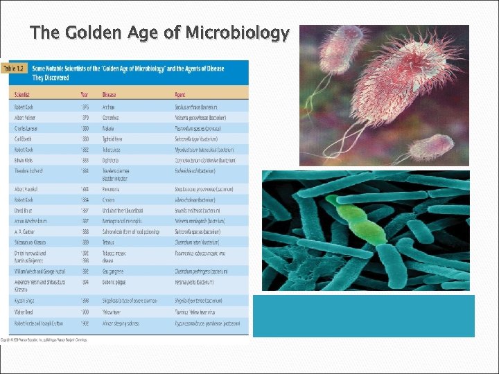 The Golden Age of Microbiology 