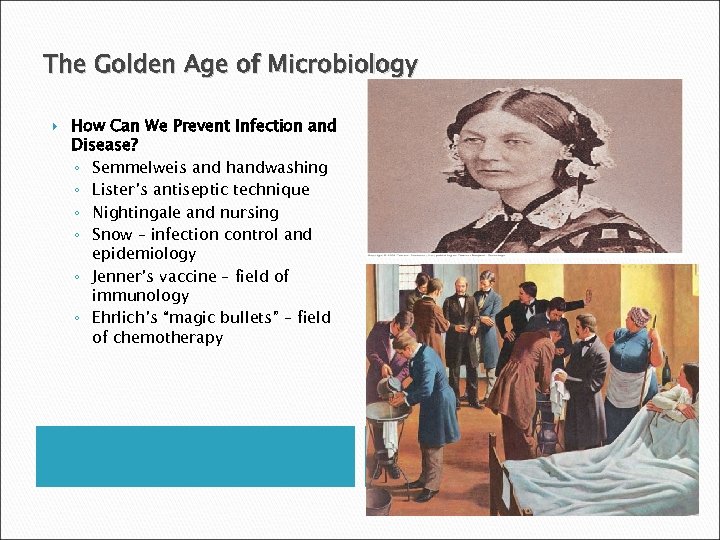 The Golden Age of Microbiology How Can We Prevent Infection and Disease? ◦ Semmelweis