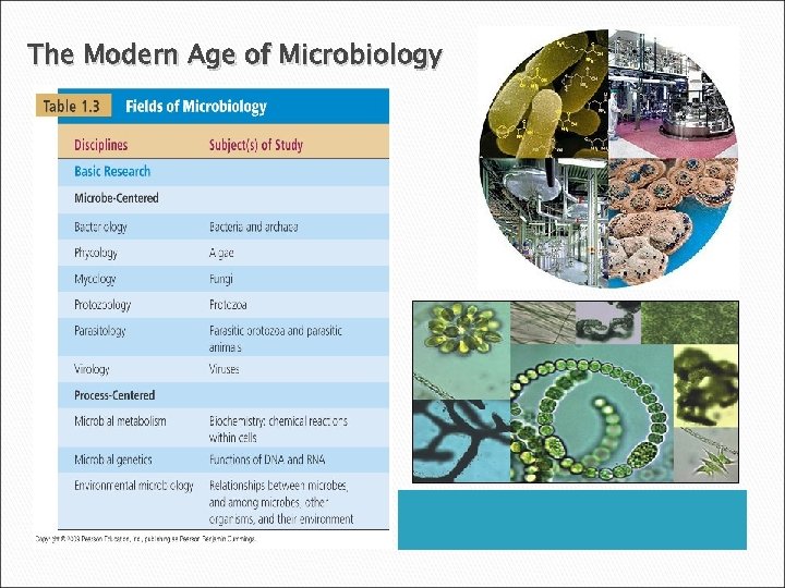 The Modern Age of Microbiology 