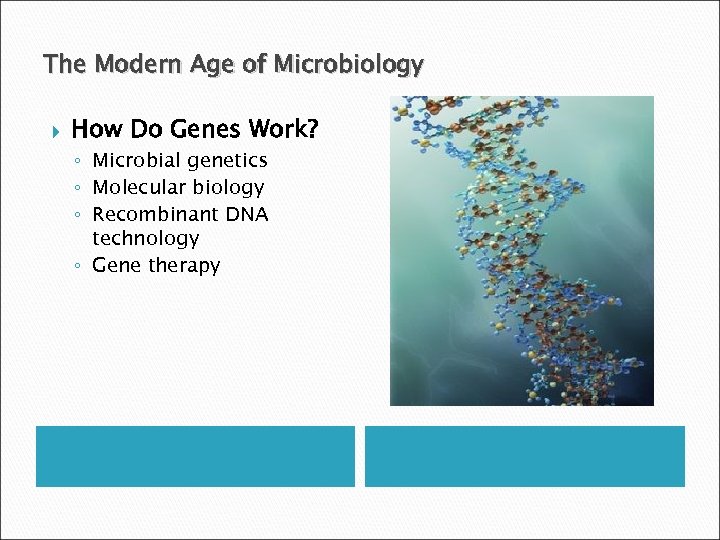 The Modern Age of Microbiology How Do Genes Work? ◦ Microbial genetics ◦ Molecular