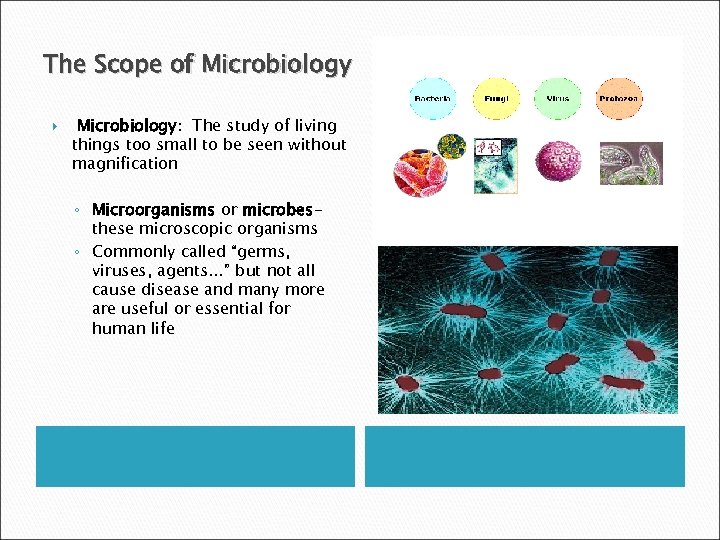 The Scope of Microbiology: The study of living things too small to be seen