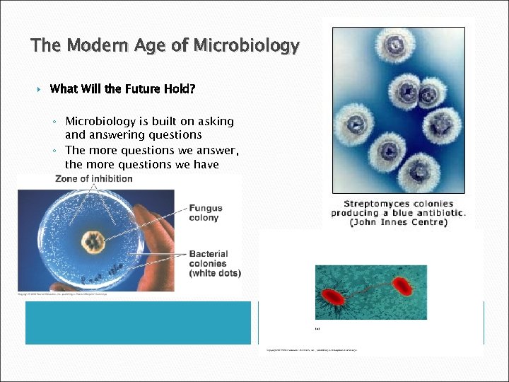 The Modern Age of Microbiology What Will the Future Hold? ◦ Microbiology is built