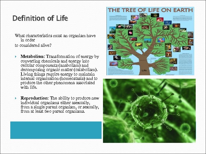 Definition of Life What characteristics must an organism have in order to considered alive?