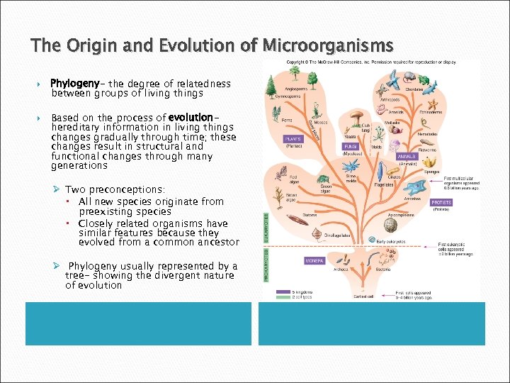 The Origin and Evolution of Microorganisms Phylogeny- the degree of relatedness between groups of