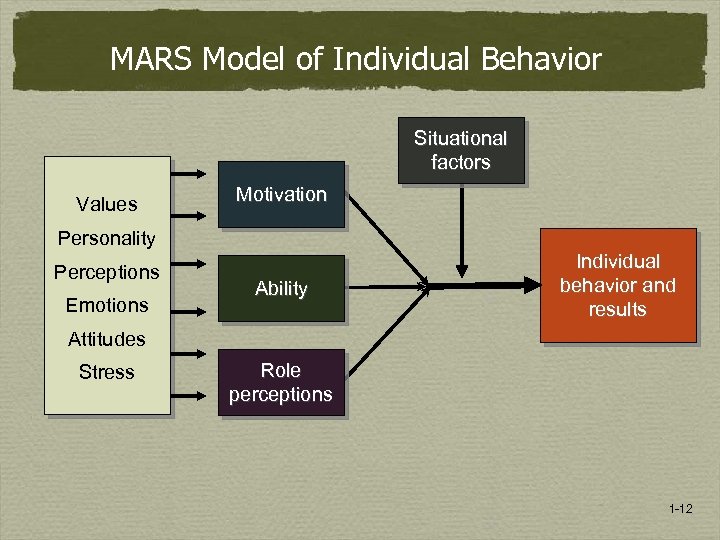 MARS Model of Individual Behavior Situational factors Values Motivation Personality Perceptions Emotions Ability Individual