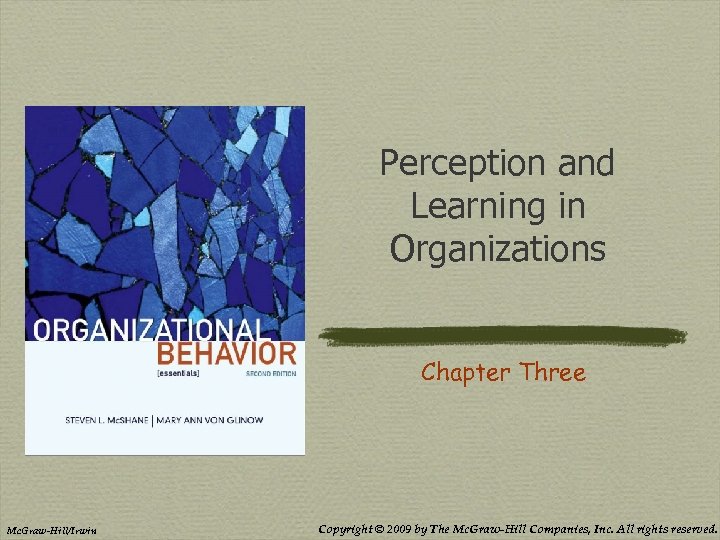 Perception and Learning in Organizations Chapter Three Mc. Graw-Hill/Irwin Copyright © 2009 by The
