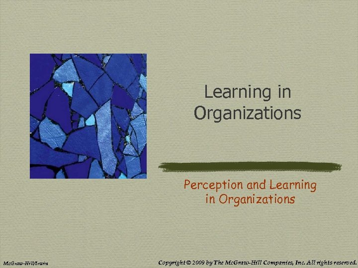 Learning in Organizations Perception and Learning in Organizations Mc. Graw-Hill/Irwin Copyright © 2009 by