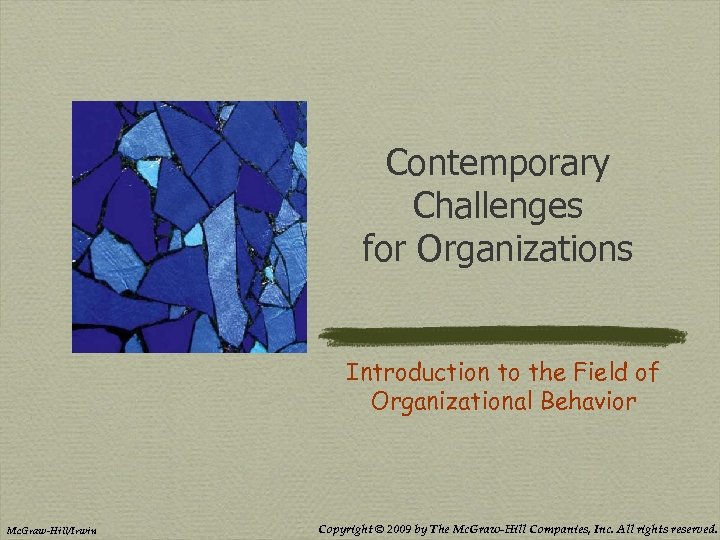 Contemporary Challenges for Organizations Introduction to the Field of Organizational Behavior Mc. Graw-Hill/Irwin Copyright