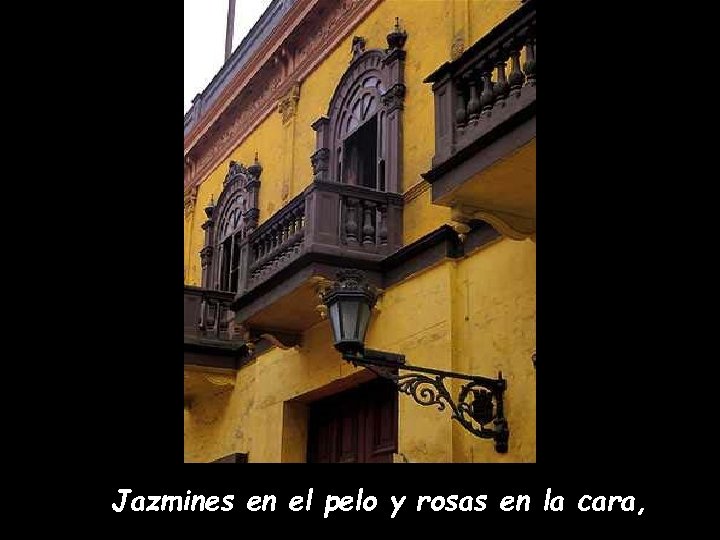Jazmines en el pelo y rosas en la cara, 